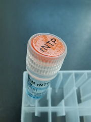 NTP Set (ATP, GTP, CTP, UTP, 100 mM each）共4種溶液的套裝 rNTP