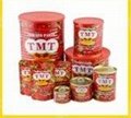Tins Size for 70g 210g 400g 800g 2200g Tomato Paste Canned Tins in 28-30% Brix D