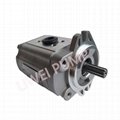 4D95S Forklift Hydraulic Overload Pump Cast Iron Gear Pump 37B-1KB-2020 2