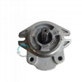 4D95S Forklift Hydraulic Overload Pump Cast Iron Gear Pump 37B-1KB-2020 4