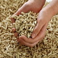 Wood Pellets 15kg Bags, (Din plus / EN plus Wood Pellets A1 for sale 5