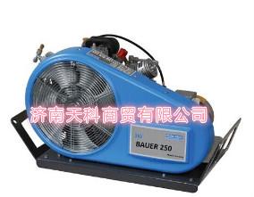 德國寶華BAUER300-TE呼吸器用充氣泵300L流量空氣壓縮機 3