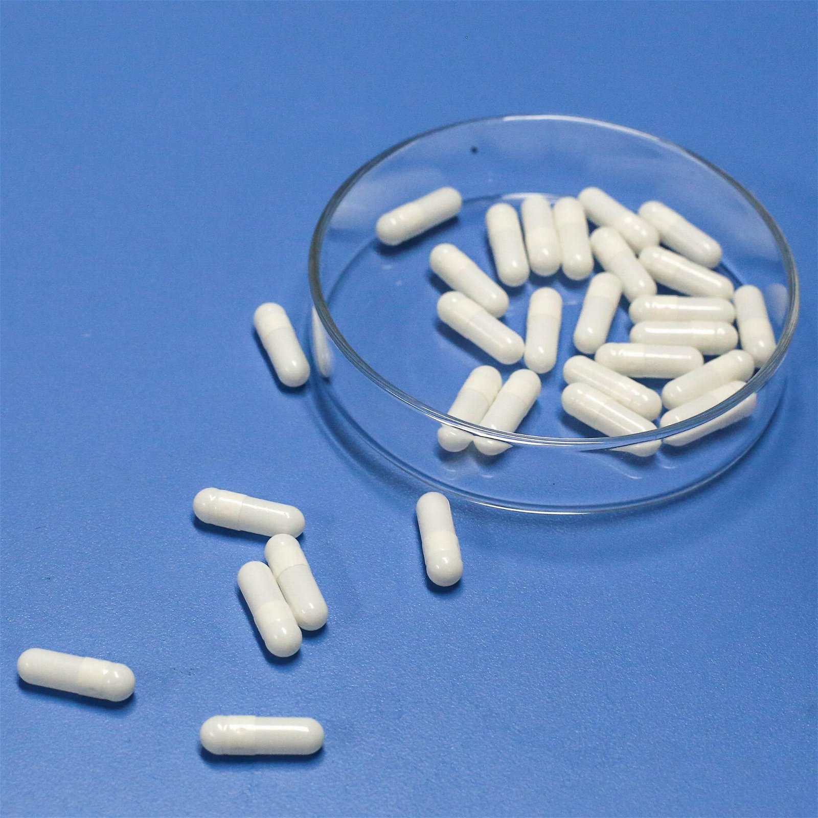 White vegetarian empty capsule for sale size 2