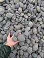 Grey pebbles, landscaping stones, garden