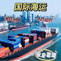 中国出口海运中国到新西兰食品出口需提供英文成分表 4