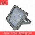 LED泛光灯 100W NFC9192-100