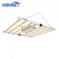 Hishine PG03 Full Spectrum Indoor Led