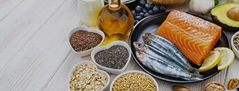 Shandong Bigtree Dreyfus Special Mealsfood Co., Ltd. Shandong Bigtree Dreyfus Special Mealsfood Co., Ltd.