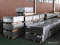 Tinplate Galvanized Steel Coil/Roof