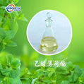 Menthyl Acetate CAS ： 89-48-5 1