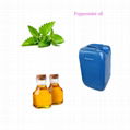 Peppermint oil Cas ：8006-90-4 3