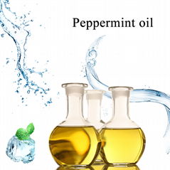 Peppermint oil Cas ：8006-90-4