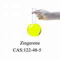 Zingerone CAS 122-48-5  5