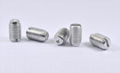 Aluminum Slotted & Hex Socket Set Screws Mechanical Lug Screws 1