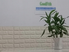 GoodFtth Communication Equipment Co.,Ltd.