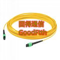 MPO MTP Trunk Cable Patch Cords SM MM OM3 OM4 OM5 GoodFtth 1