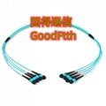 MPO MTP Trunk Cable Patch Cords SM MM OM3 OM4 OM5 GoodFtth 2