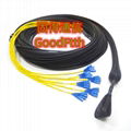 Fiber Patch Cord SC FC LC ST MTRJ MU E2000 SM G652D G655 G657 GoodFtth 1