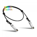 Direct Attach Coppr DAC Cable 1