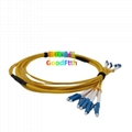 Multicore Patch Cord LC-LC UPC APC SM G652 G657 G655 Distribution 4C-144C