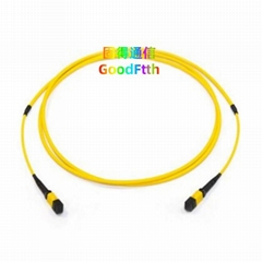 Double Jacet MPO MTP Trunk Cable SM OM3 OM4 4.5mm Sheath Patch Cord  GoodFtth