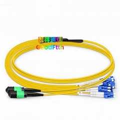 MPO MTP Trunk Cable Patch Cords SM MM OM3 OM4 OM5 GoodFtth