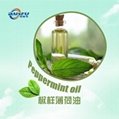 Peppermint oil 8006-90-4 cooling agent ten years Chiese factory supple flavor ta