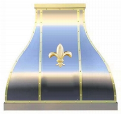 Stainless steel double material range hood
