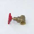 Durable NPT BSP Thread Water Control Spiral Water Sluice Brass Gate Valve 2