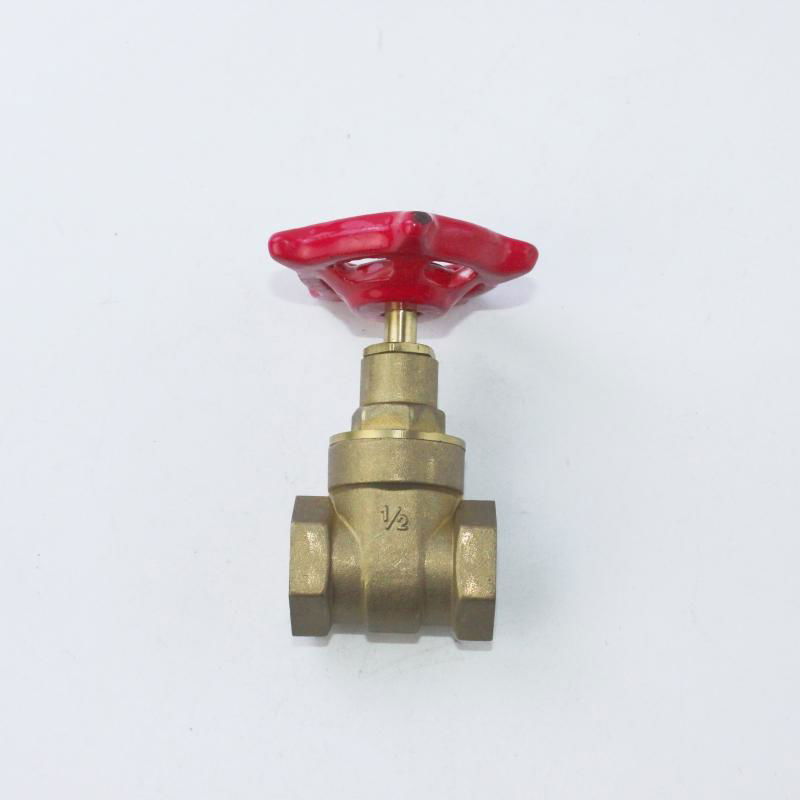 Durable NPT BSP Thread Water Control Spiral Water Sluice Brass Gate Valve 3