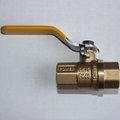 brass ball valve AB USA Female And Male Thread 5