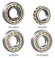 Single Row High Quality Low Noise Cylindrical Roller Bearing NJ1014 EM with Smal