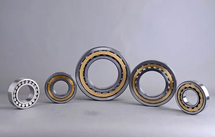 Single Row High Quality Low Noise Cylindrical Roller Bearing NJ1014 EM with Smal 4
