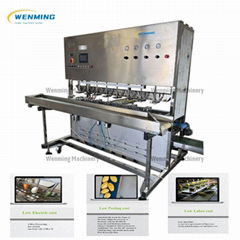 Industrial Mango Peeling Machine