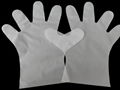 Disposable PE gloves  1