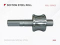 Section Steel roll