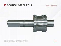 Section Steel roll