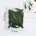 Triangle Bamboo Leaves for salmon 1