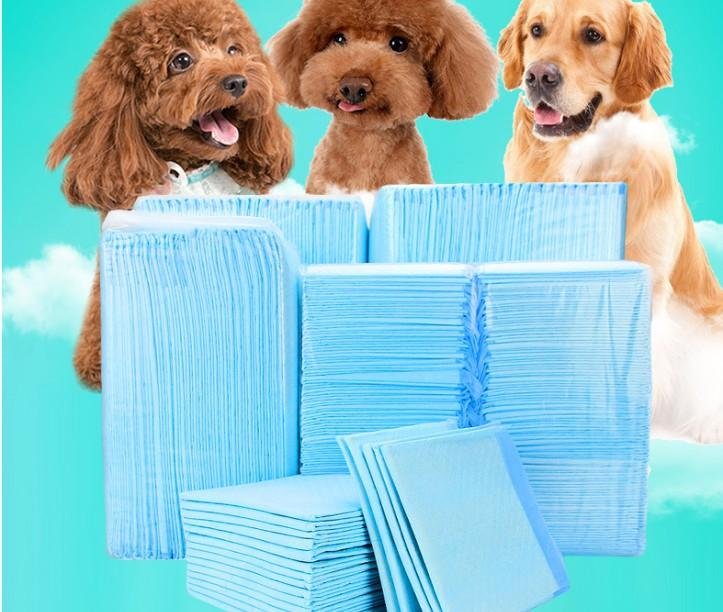 Puppy Pads Disposable Pet Pee Pads for Dogs 60*60