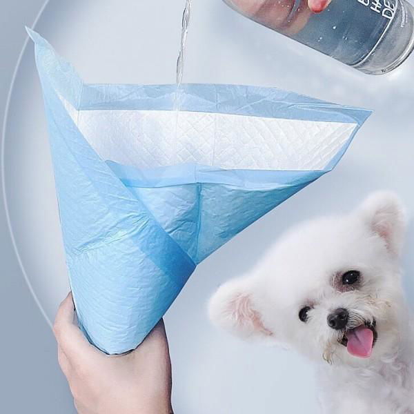 Pet Pee Pad for Dogs Training 4