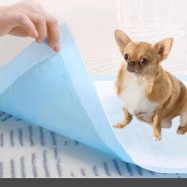 Disposable Pet Training Pad Pet Diaper Pads 5