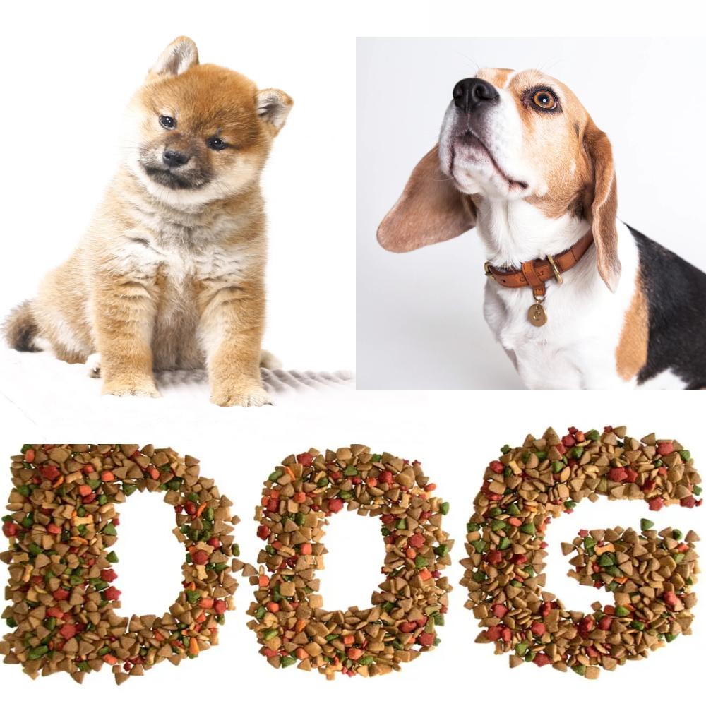 good quality dog food machine pet food processing line KLD (China