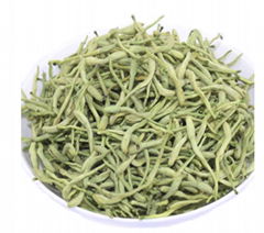 Top Quality Chinese Herbal Medicine Honeysuckle Herbal