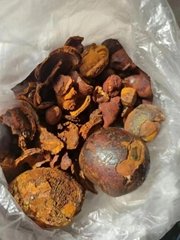 Supply  natural CALCULUS BOVIS (cattle gall stones) 