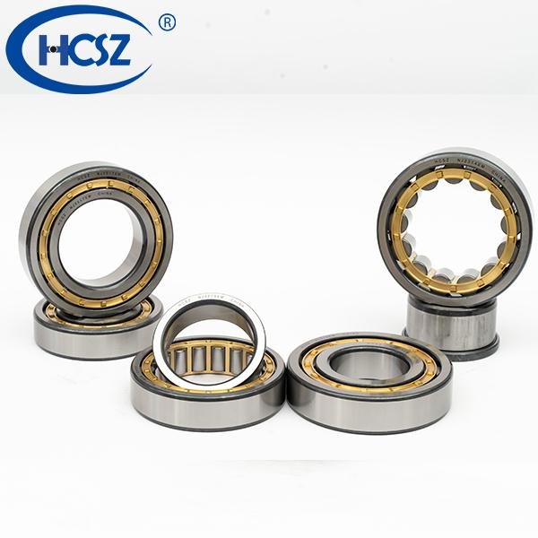 Multiple Use Cylindrical Roller Bearing HCSZ Nj205 with High Quality 3