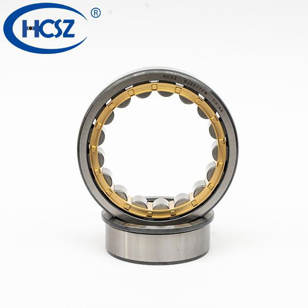 Multiple Use Cylindrical Roller Bearing HCSZ Nj205 with High Quality 4