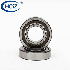 Multiple Use Cylindrical Roller Bearing