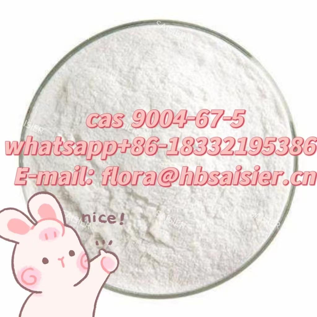 Methyl cellulose CAS 9004-67-5