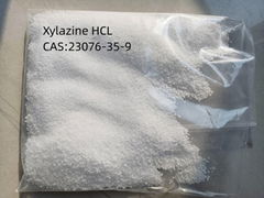 CAS 7361-61-7 xylazine powder