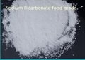 Sodium bicarbonatecas:144-55-8 3